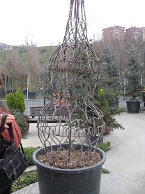 Name:  047.JPG
Views: 1453
Size:  54.6 KB