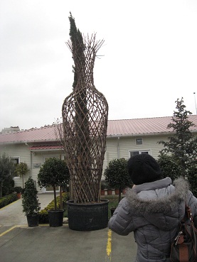 Name:  049.JPG
Views: 1452
Size:  59.7 KB