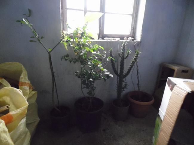 Name:  02-002.jpg
Views: 733
Size:  31.0 KB