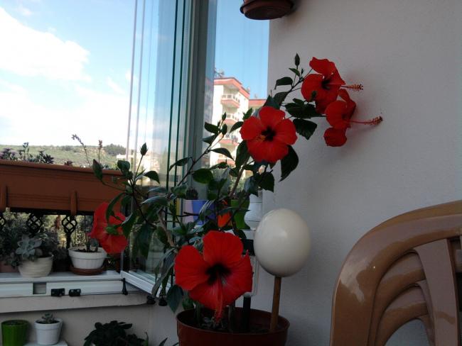 Name:  Fotoraf0040.jpg
Views: 639
Size:  38.2 KB