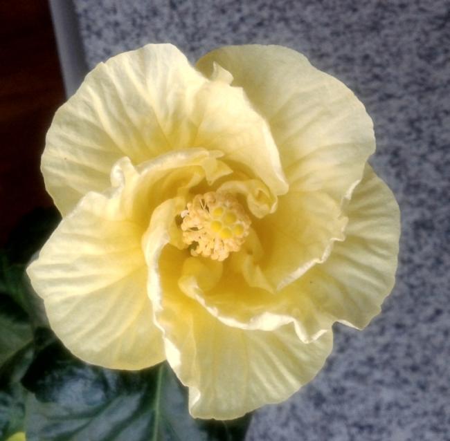 Name:  20140829_093004.jpg
Views: 1108
Size:  41.1 KB