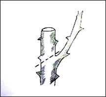 Name:  sekil1.gif
Views: 210515
Size:  8.3 KB