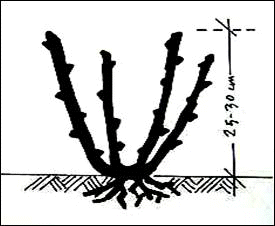 Name:  sekil3.gif
Views: 217462
Size:  14.6 KB