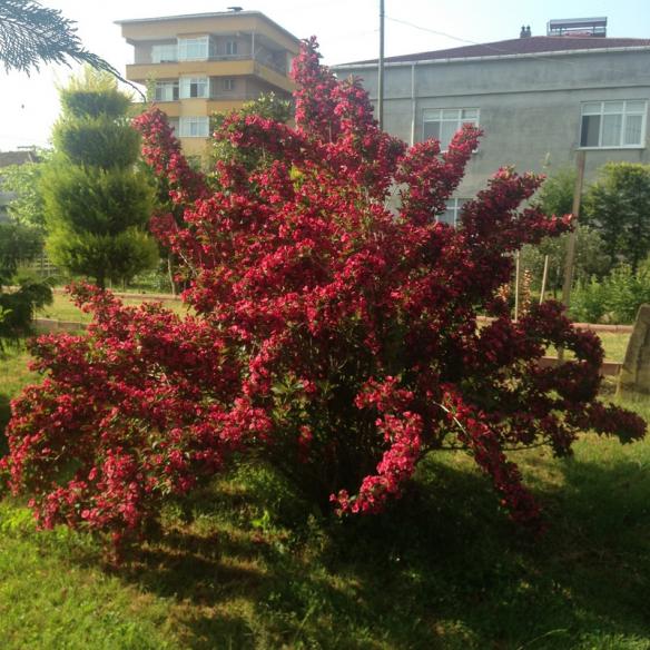 Name:  054.jpg
Views: 876
Size:  71.6 KB