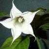 Name:  uploadfromtaptalk1458509281984.jpg
Views: 1904
Size:  3.3 KB