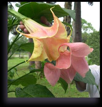 Name:  uploadfromtaptalk1458520084117.jpg
Views: 1839
Size:  18.6 KB