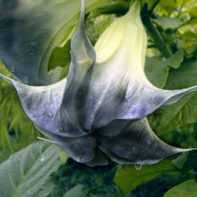 Name:  uploadfromtaptalk1458520129743.jpg
Views: 2068
Size:  41.3 KB
