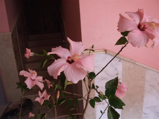 Name:  DSCF5222.jpg
Views: 656
Size:  32.0 KB