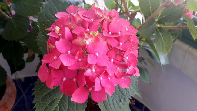 Name:  orta03.jpg
Views: 892
Size:  35.0 KB