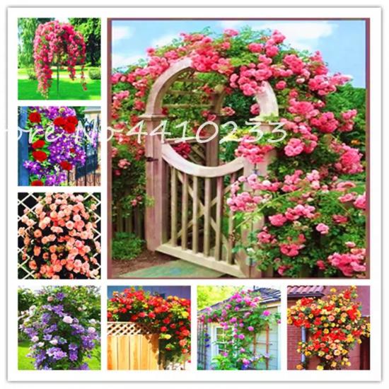 Name:  13234834152119121042.jpg
Views: 808
Size:  76.1 KB