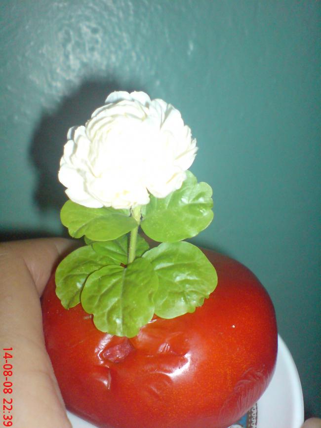 Name:  ser 020.jpg
Views: 2596
Size:  50.3 KB