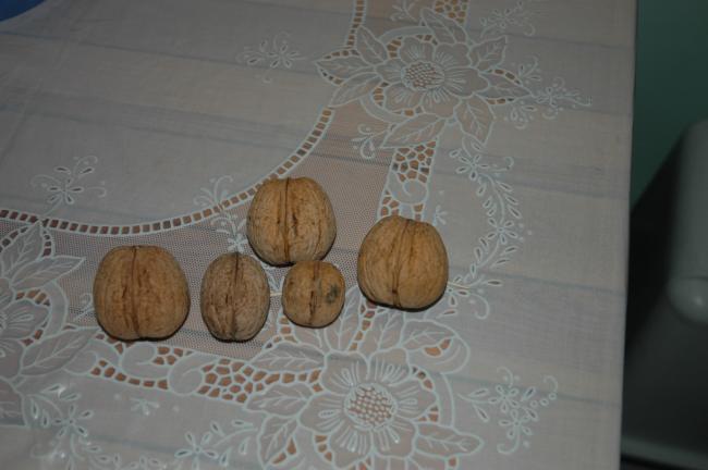 Name:  soru2.jpg
Views: 2466
Size:  29.5 KB