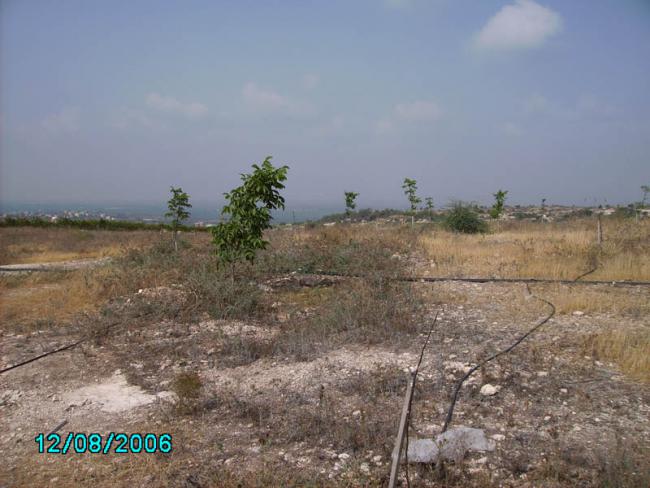 Name:  3.jpg
Views: 1909
Size:  48.8 KB