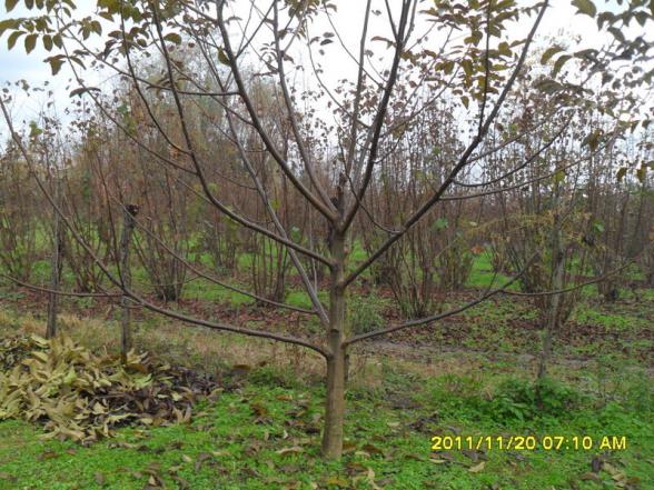 Name:  007.jpg
Views: 38510
Size:  72.1 KB
