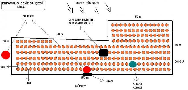 Name:  enfarklisi ceviz bahesi pikaji.jpg
Views: 26395
Size:  49.0 KB
