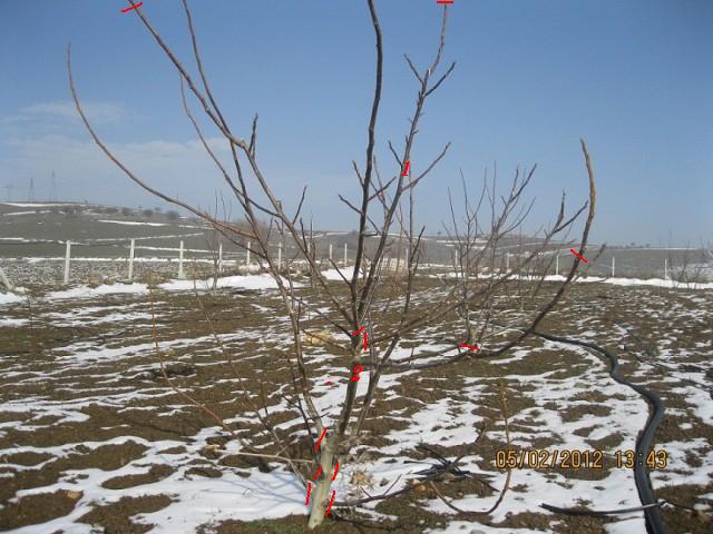 Name:  2hztu.jpg
Views: 8651
Size:  59.5 KB