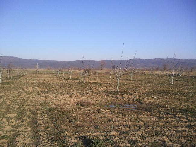 Name:  Fotoraf0233.jpg
Views: 1686
Size:  54.1 KB