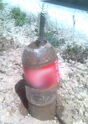 Name:  cevizz.jpg
Views: 2486
Size:  55.5 KB