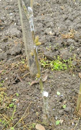 Name:  Resim 004.jpg
Views: 2462
Size:  48.6 KB