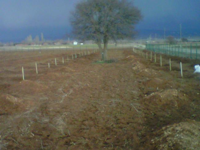 Name:  IMG01452-20120415-1824.jpg
Views: 7458
Size:  35.4 KB