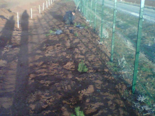 Name:  IMG01476-20120415-1855.jpg
Views: 7440
Size:  46.2 KB