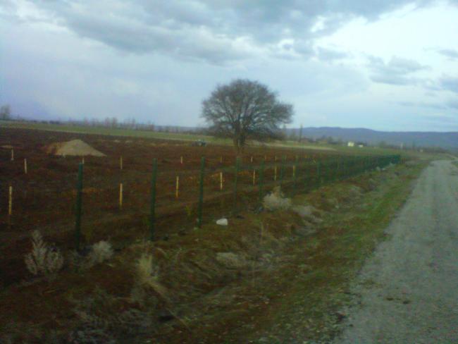 Name:  IMG01510-20120415-1935.jpg
Views: 7449
Size:  30.4 KB
