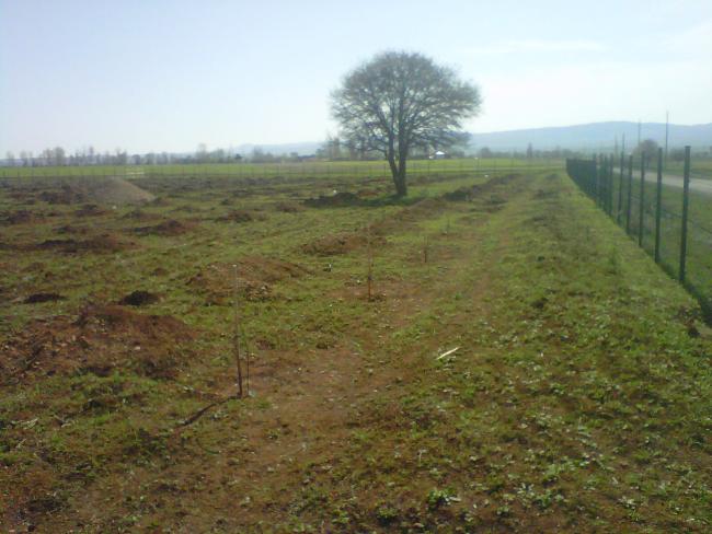 Name:  IMG01596-20120502-0940.jpg
Views: 7455
Size:  47.7 KB
