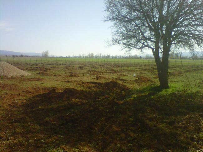 Name:  IMG01601-20120502-0941.jpg
Views: 7389
Size:  45.3 KB