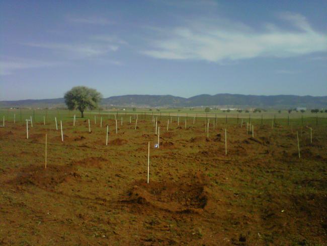 Name:  IMG01607-20120502-0943.jpg
Views: 7348
Size:  36.5 KB