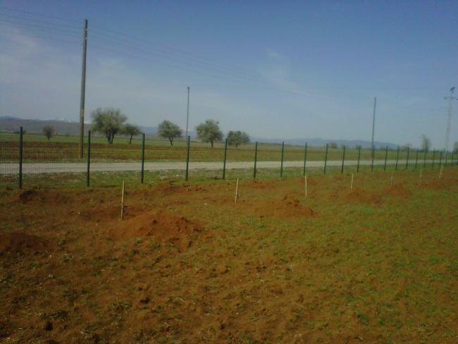 Name:  IMG01609-20120502-0943.jpg
Views: 7371
Size:  34.8 KB