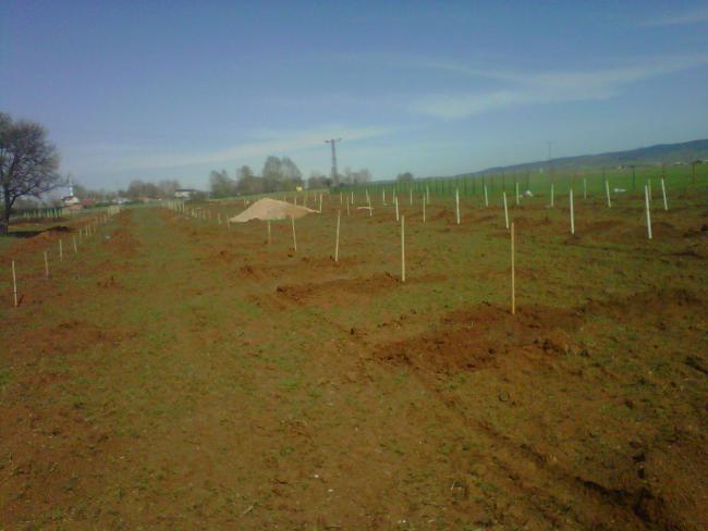 Name:  IMG01610-20120502-0944.jpg
Views: 7326
Size:  34.2 KB