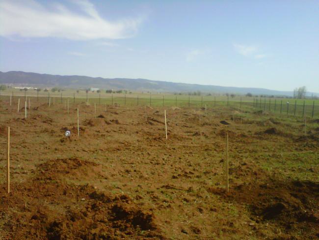Name:  IMG01613-20120502-0944.jpg
Views: 7362
Size:  43.5 KB