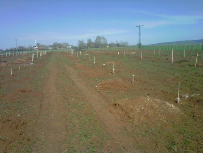 Name:  IMG01615-20120502-0945.jpg
Views: 2196
Size:  33.0 KB