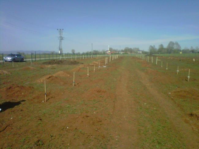 Name:  IMG01616-20120502-0945.jpg
Views: 2164
Size:  31.4 KB