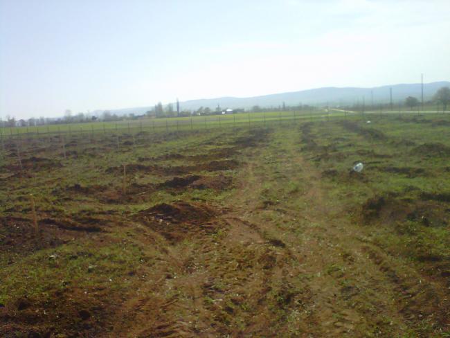 Name:  IMG01617-20120502-0945.jpg
Views: 2115
Size:  41.1 KB