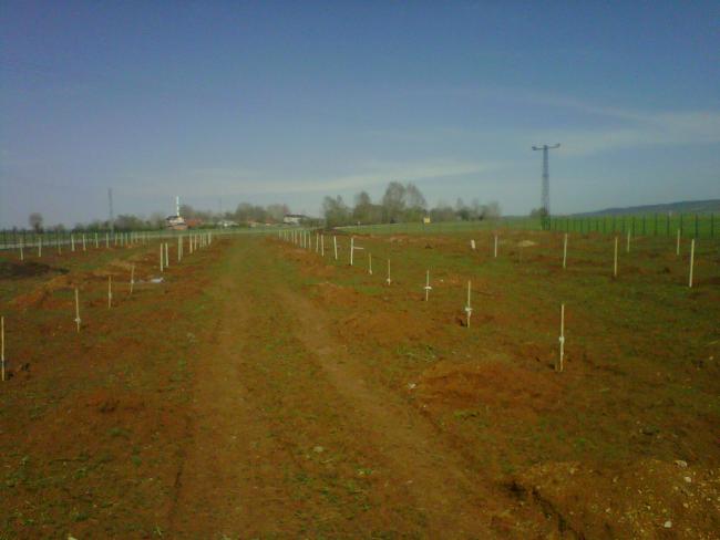 Name:  IMG01618-20120502-0945.jpg
Views: 2036
Size:  30.6 KB