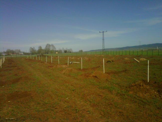 Name:  IMG01622-20120502-0949.jpg
Views: 2026
Size:  31.7 KB