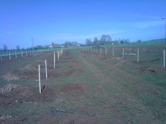 Name:  IMG01623-20120502-0949.jpg
Views: 2106
Size:  32.5 KB