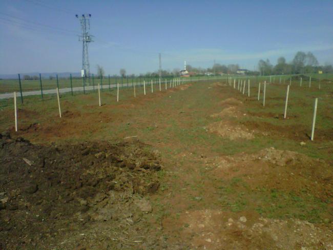 Name:  IMG01624-20120502-0949.jpg
Views: 2073
Size:  39.1 KB