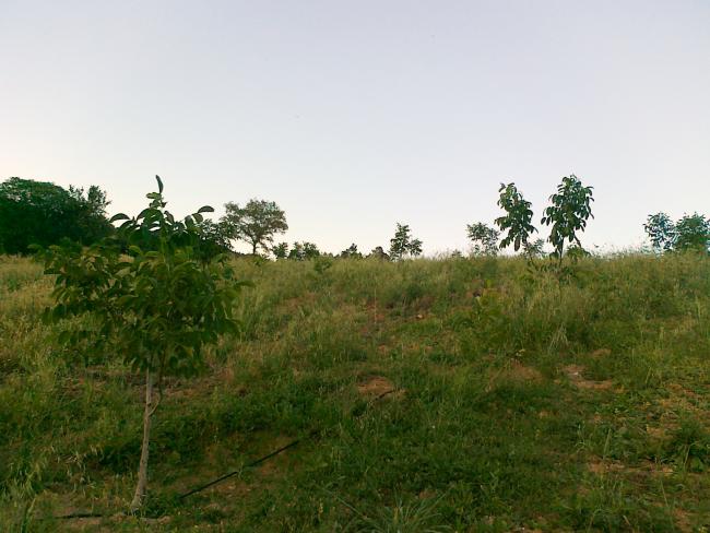 Name:  15.jpg
Views: 2356
Size:  46.4 KB