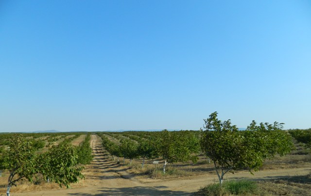 Name:  Resim 017.jpg
Views: 2460
Size:  55.8 KB