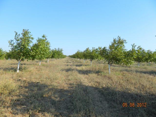 Name:  Resim 014.jpg
Views: 2481
Size:  46.6 KB