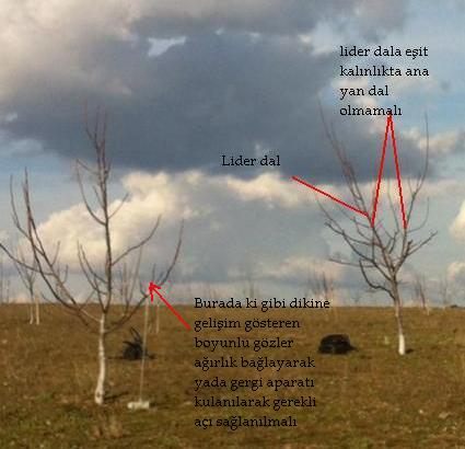 Name:  fotoraf.jpg
Views: 4960
Size:  27.0 KB