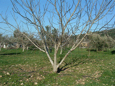Name:  resim6.gif
Views: 6067
Size:  65.5 KB