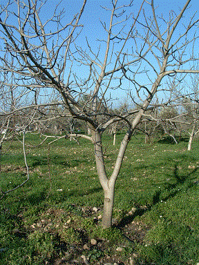 Name:  resim7.gif
Views: 2920
Size:  61.5 KB