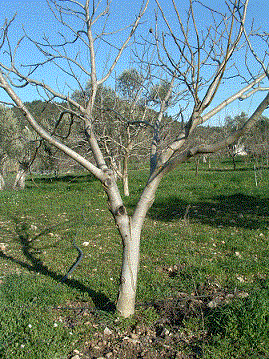 Name:  resim5.gif
Views: 4018
Size:  61.1 KB