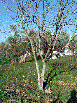 Name:  resim4.gif
Views: 2861
Size:  63.2 KB