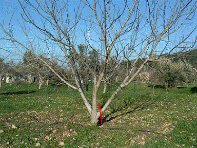Name:  resim6.gif
Views: 4298
Size:  65.5 KB