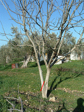 Name:  resim4.gif
Views: 2645
Size:  63.2 KB