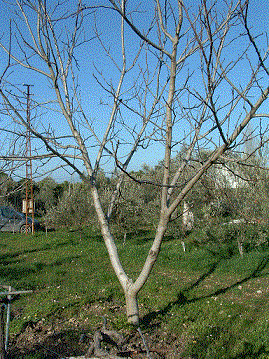 Name:  resim3.gif
Views: 2640
Size:  58.6 KB